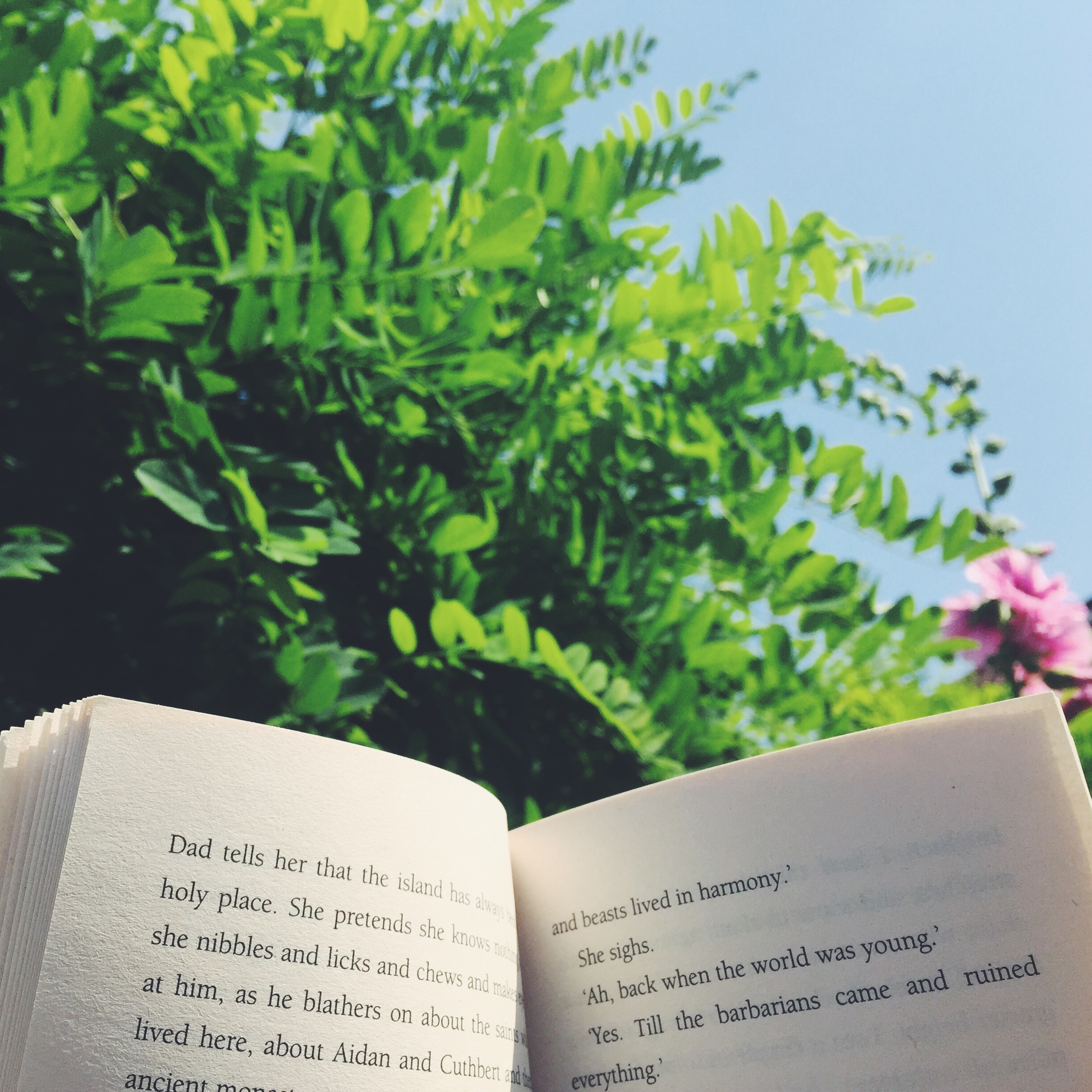 Summer reads