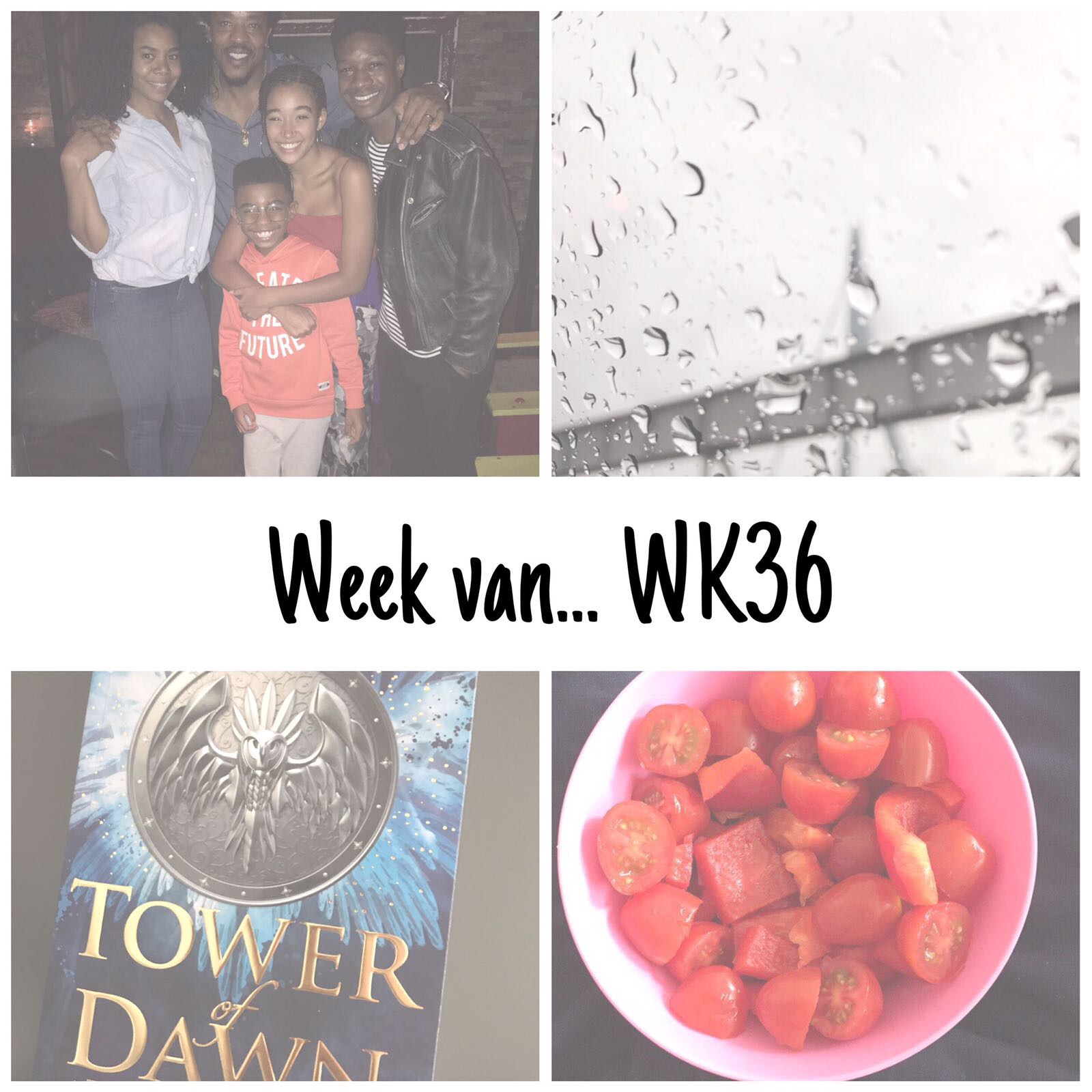 Week van… WK36