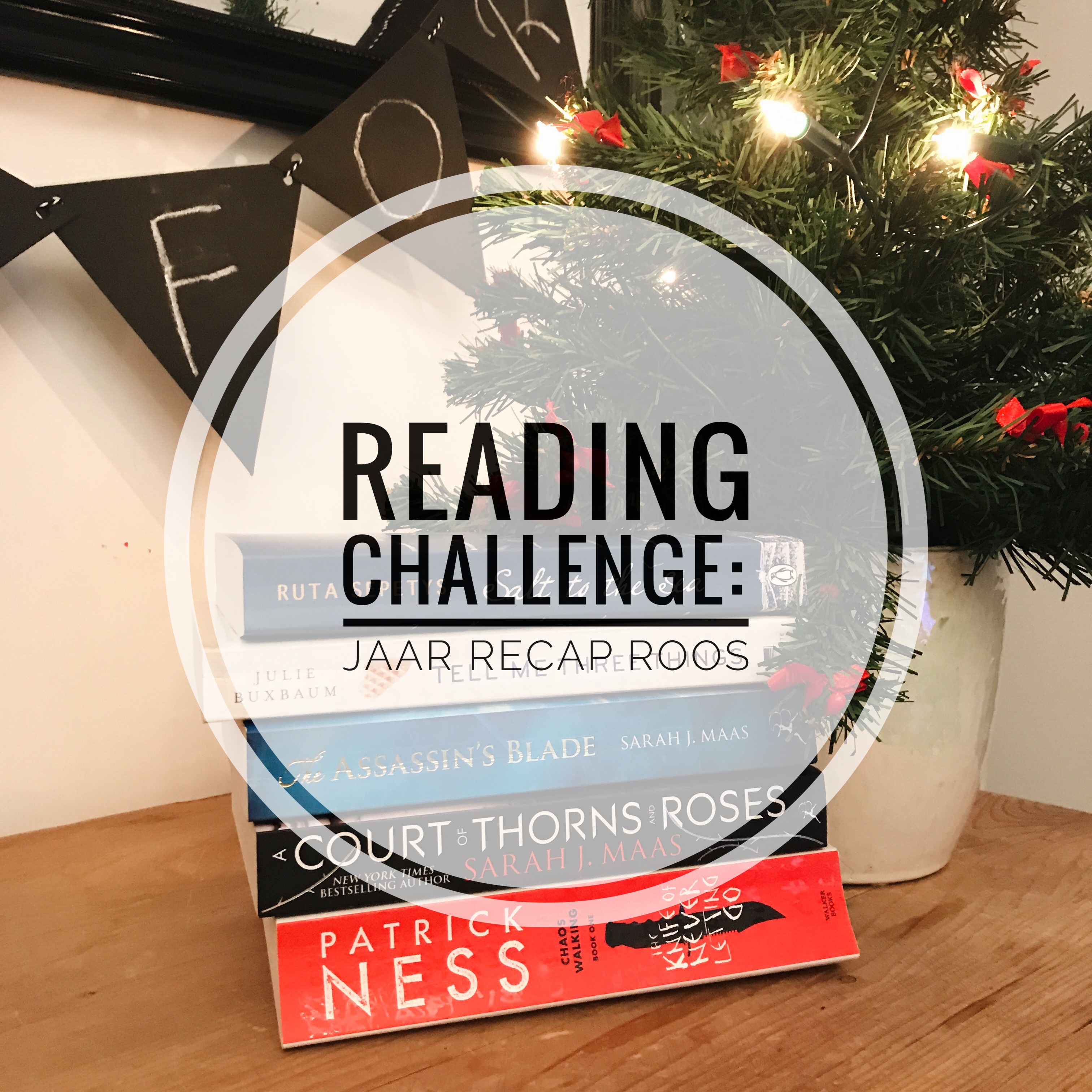 Reading Challenge: Jaar Recap Roos
