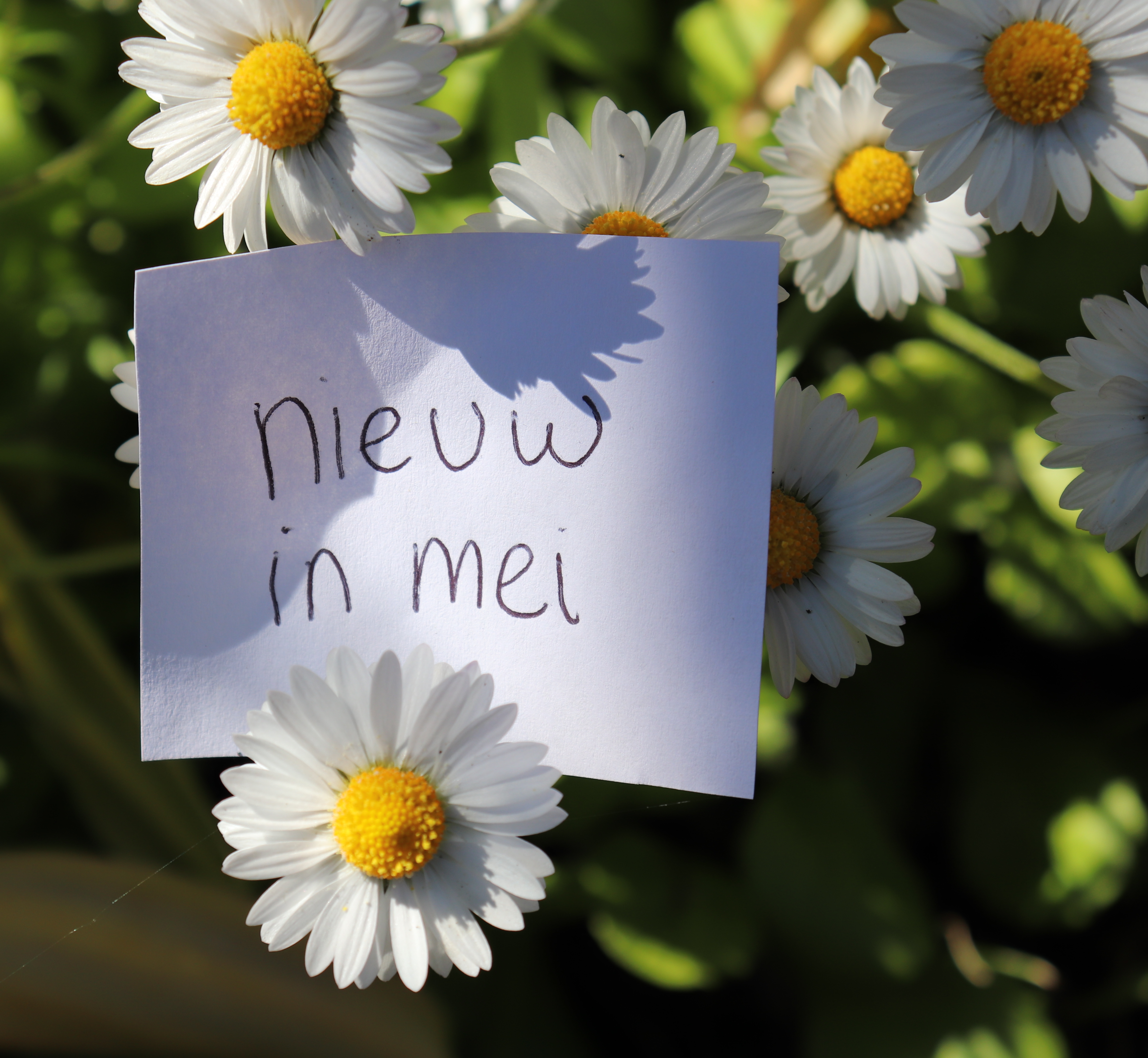 Boek releases: mei 2018