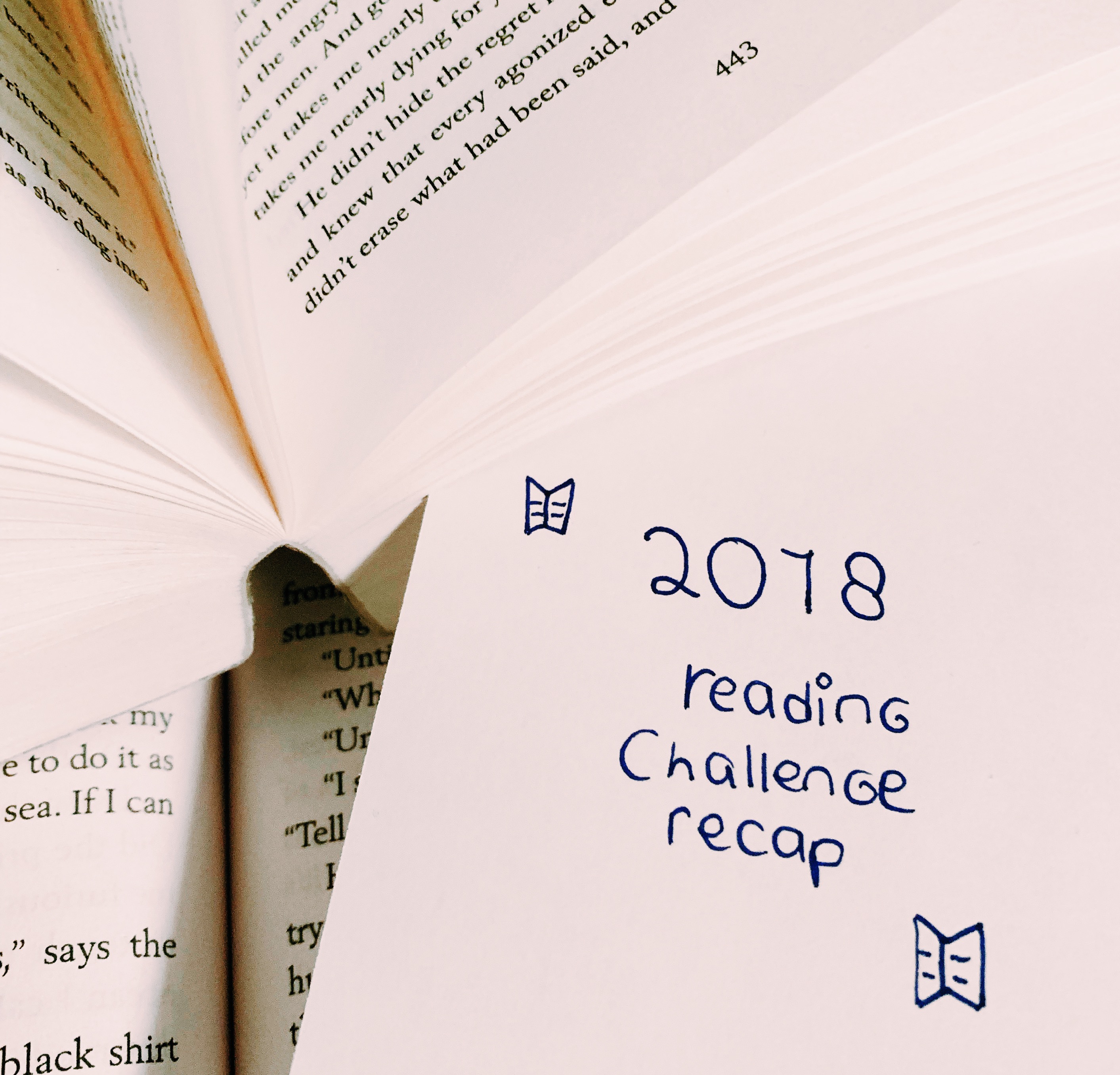 Reading challenge: Jaar recap Roos (2018)