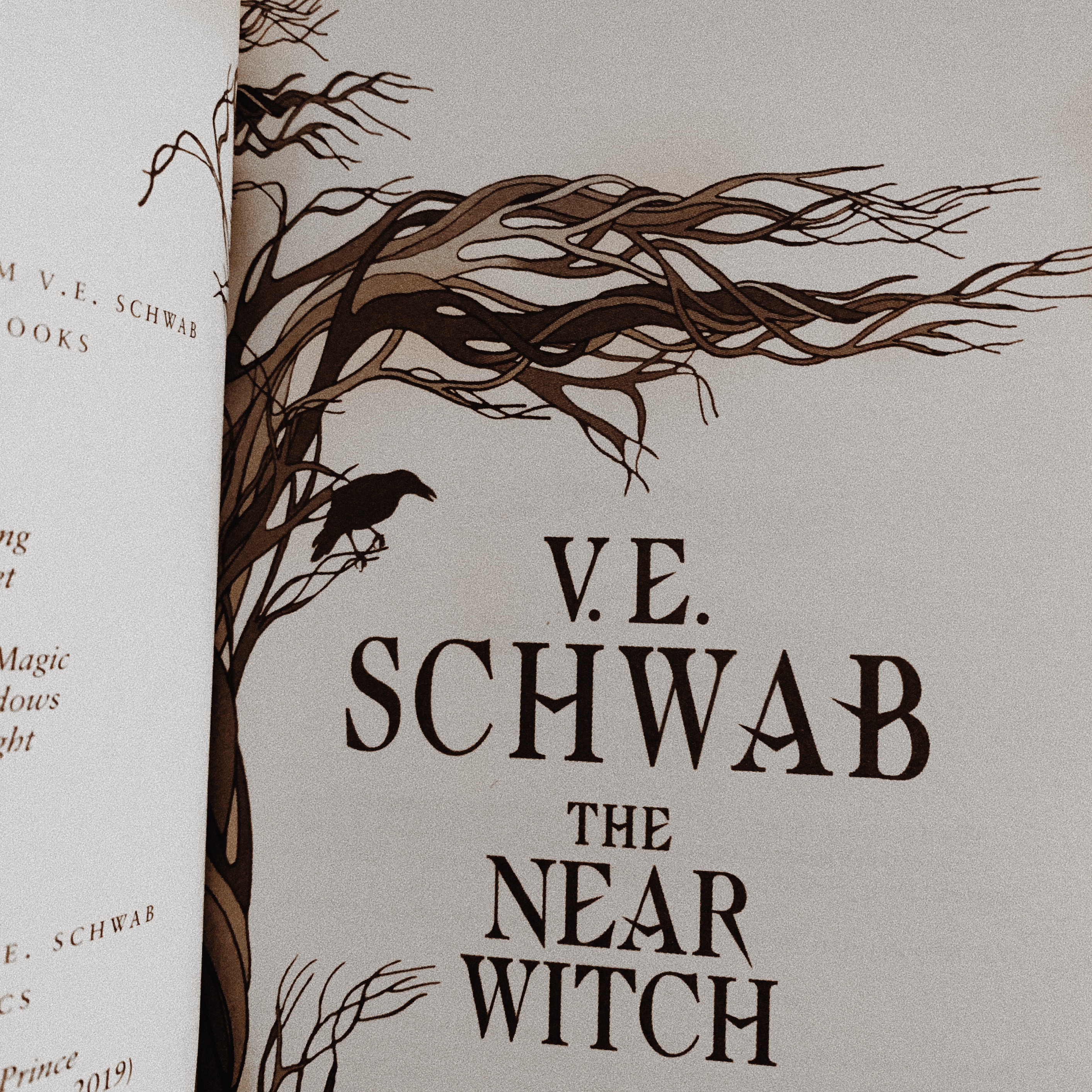 Review: The Near Witch – V.E. Schwab