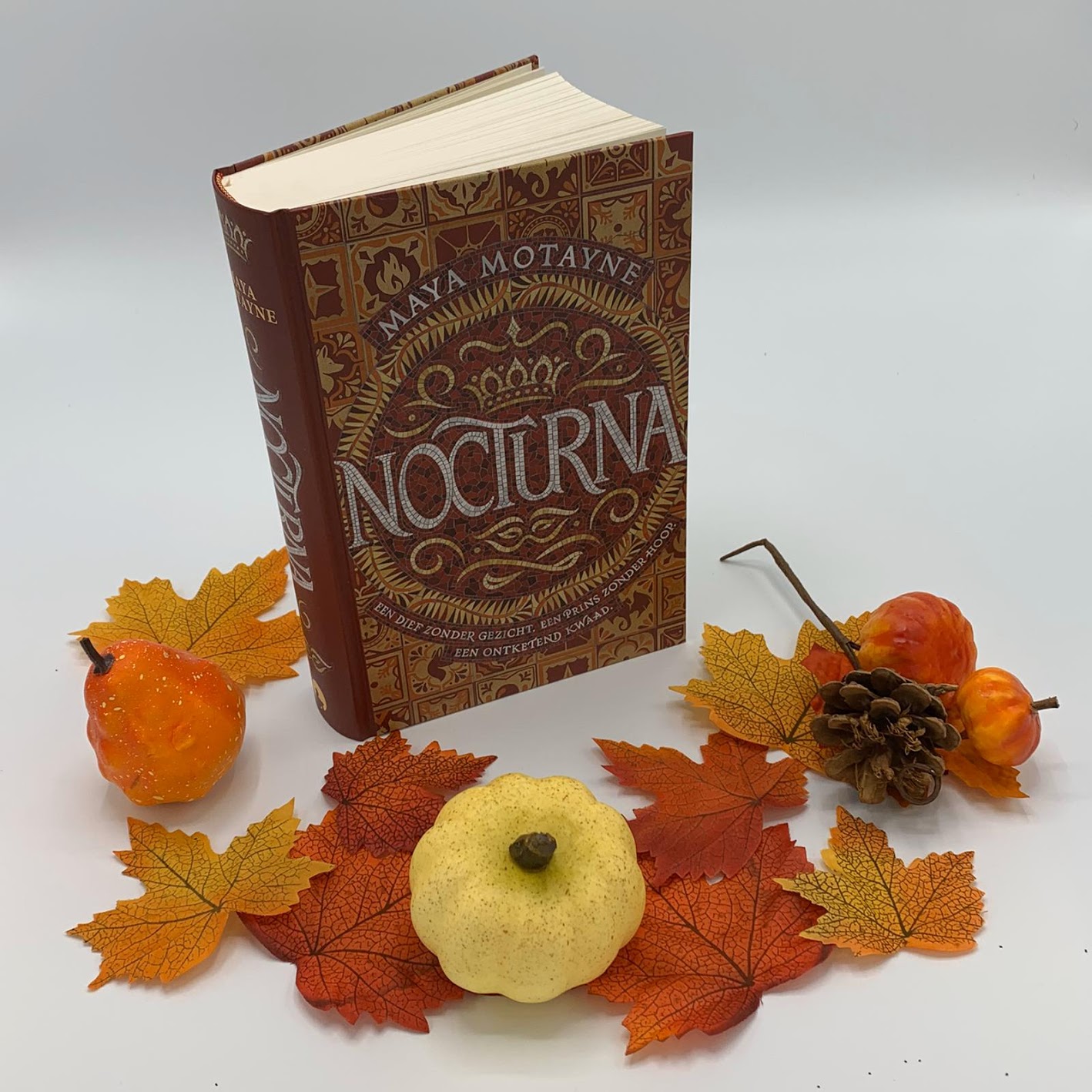 Review: Noctura –  Maya Motayne